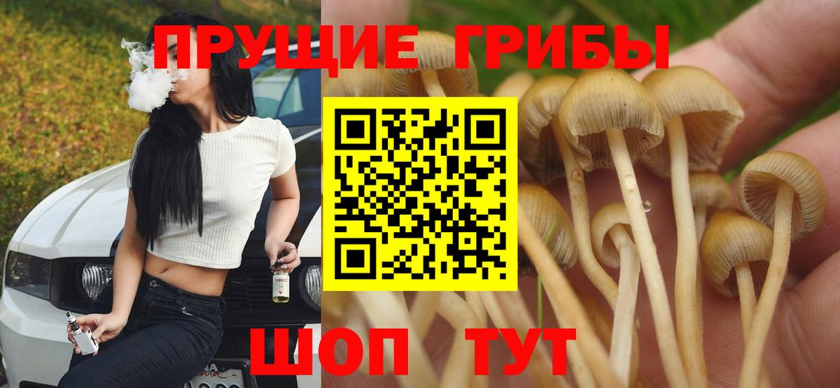 Псилоцибиновые грибы Magic Shrooms Торжок
