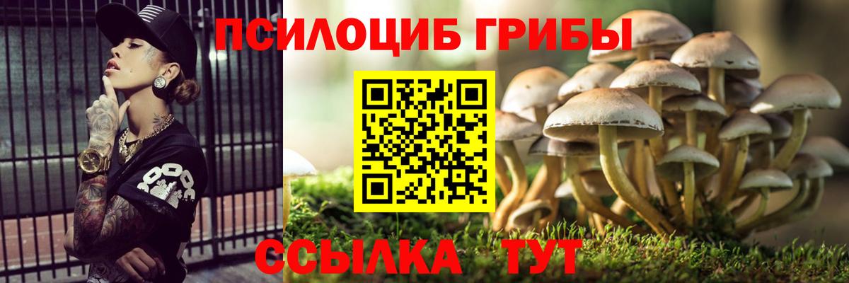 Торжок  Галлюциногенные грибы Magic Shrooms  Псилоцибиновые грибы Psilocybine cubensis  Вход с VPN 