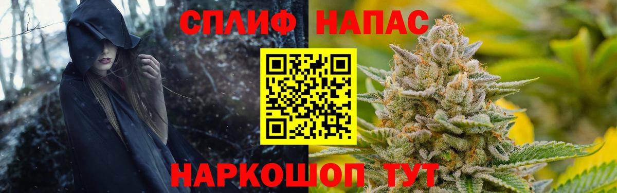 Конопля семена  МАРИХУАНА ГИДРОПОН  Канабис MAZAR  Торжок  Вход с VPN 